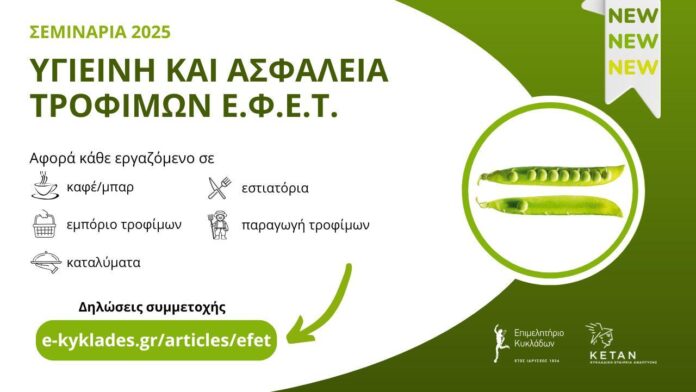 SEMINARIAEFET2025KYKLADES_F544767385