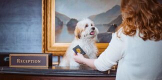 Συμβουλευτική Εκδήλωση : Η νέα εποχή του Pet Friendly Τουρισμού. Πώς να γίνεις πιο εμπορικά ανταγωνιστικός